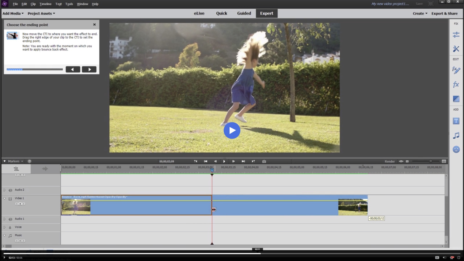 Adobe Premiere Elements 10 Mac Download